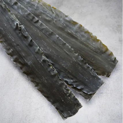 Algues Shirokuchihama Ma Kombu Premium de Hokkaido