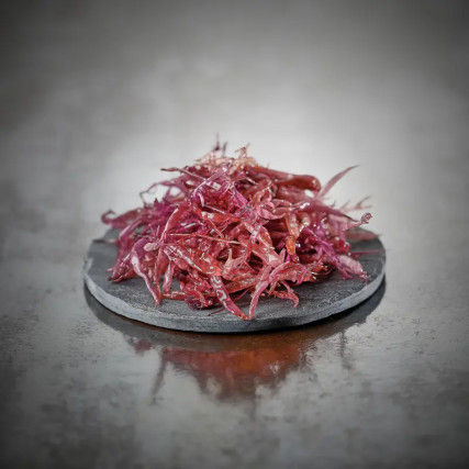 Alga funori silvestre de Iwate 