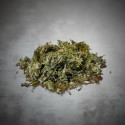 Kurobara Nori Algen Wild Premium Iwate 50g