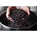 Джин 424 Juniper Berry