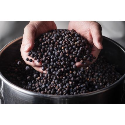 Джин 424 Juniper Berry