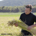 Arroz Yumegokochi Sonho Sentimento - 5 estrelas Master Bio * - Marca Wakai Noen -