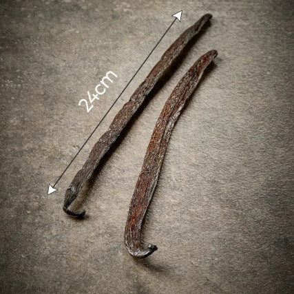 非分割ブラックバニラ、Pompona、Origin Madagascar 20-24cm