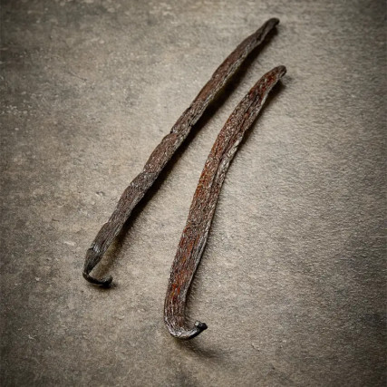 Non-Split Black Vanilla, Pompona, origine Madagascar 20-24cm