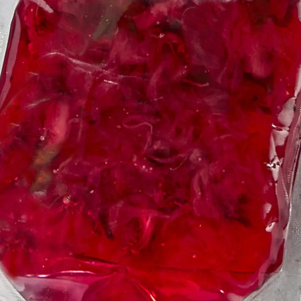 Fleurs de cerisiers au sirop