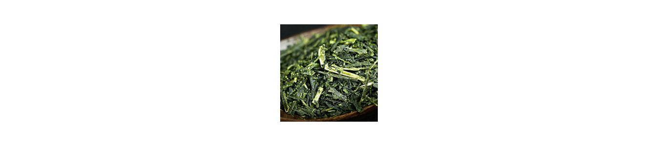 Japanese tea