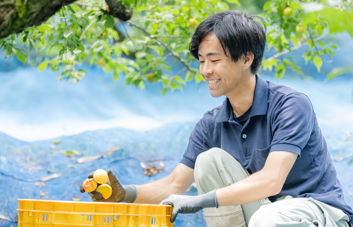 Heiwa Shuzou Co. Ltd