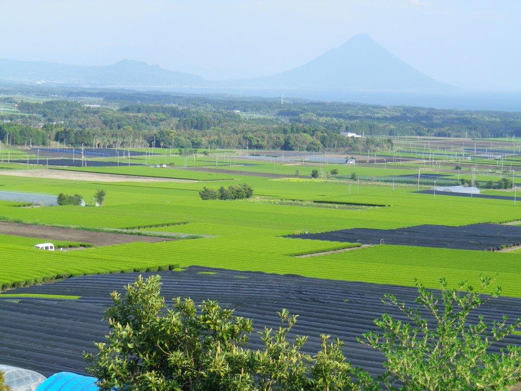Moriyamaen