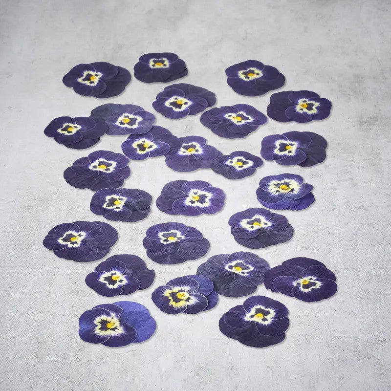 Dried Pansy Flowers