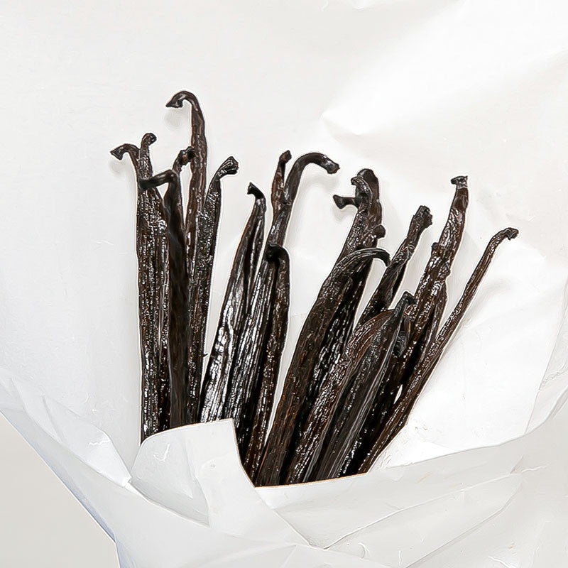 Vaniglia Gourmet intera non incisa Planifolia