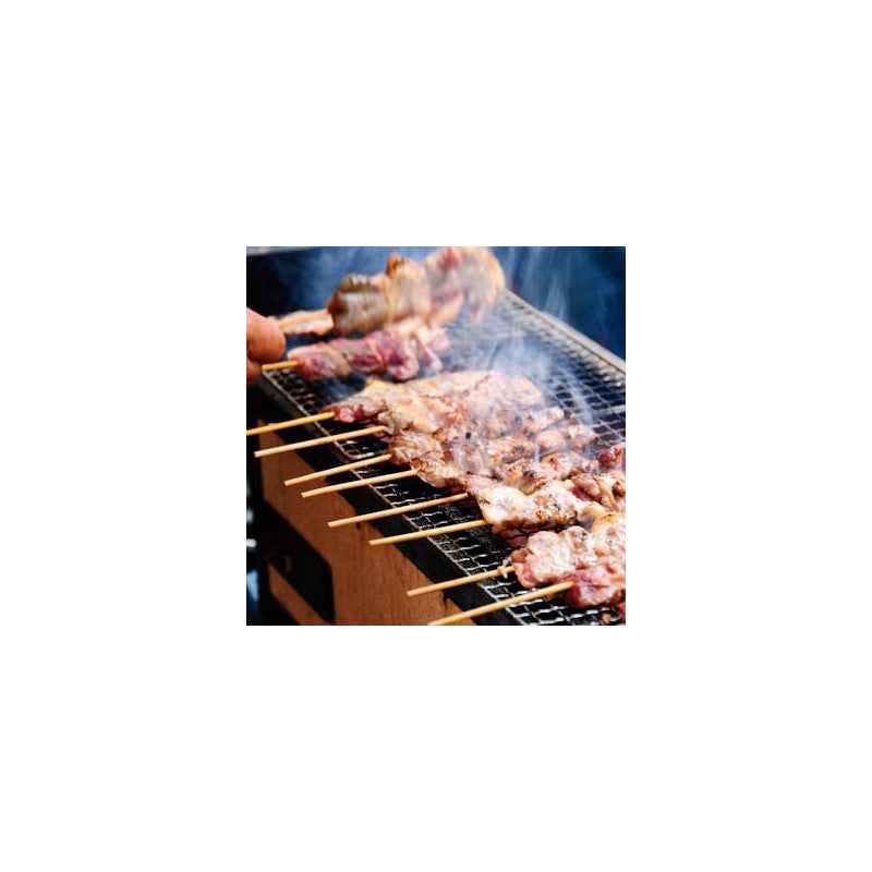 Barbacoa de mesa Konro Stove BQ22