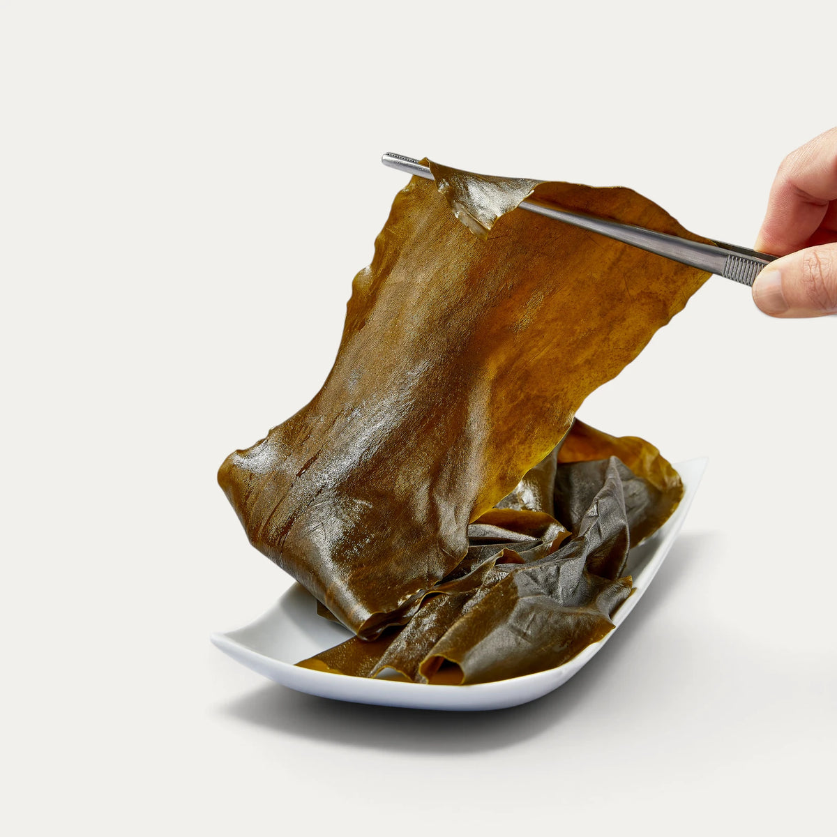 Jeune algue kombu tendre - 75g