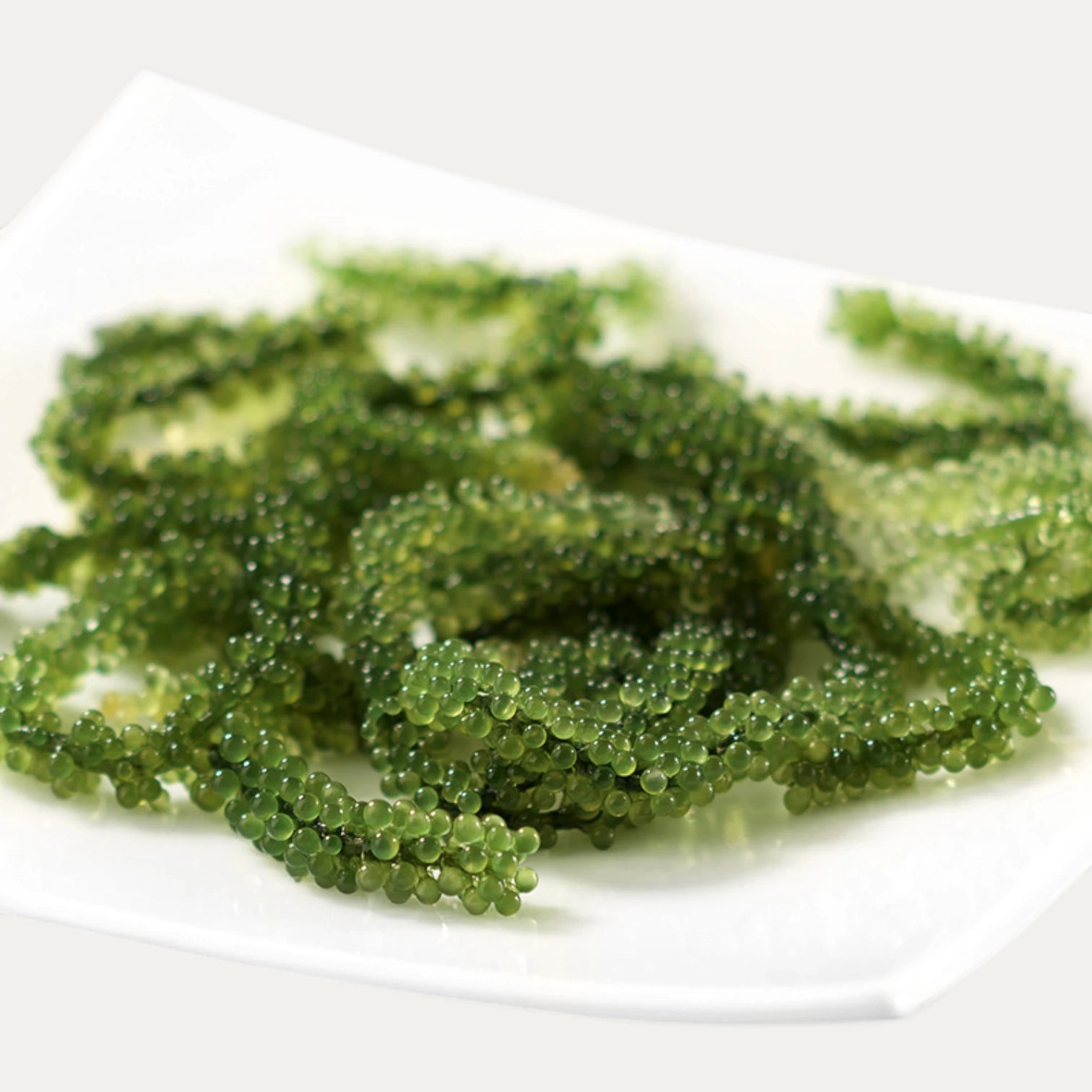 Uva di mare Umibudo di Okinawa - 100 g