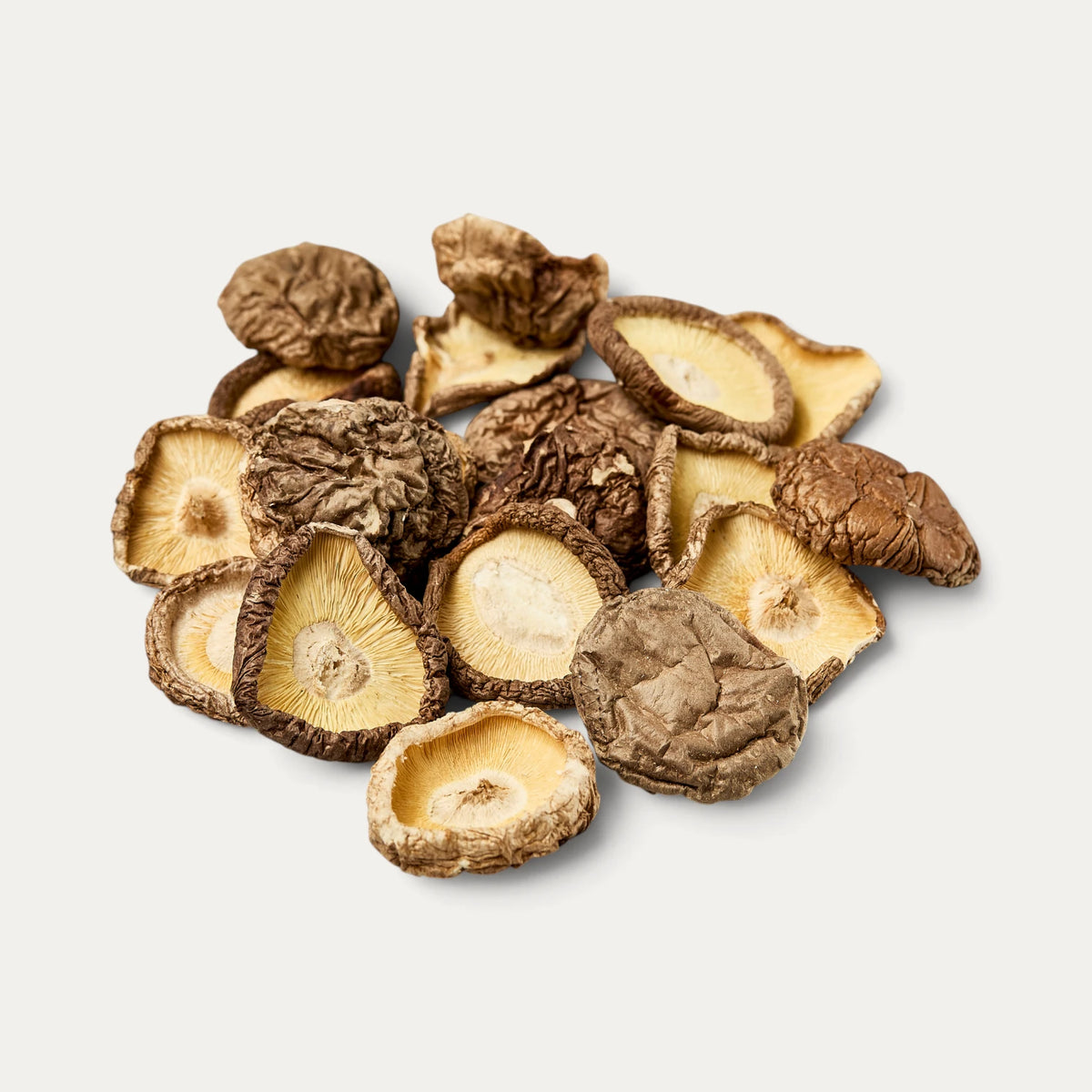 Shiitake senza gambo diametro 3-5 cm