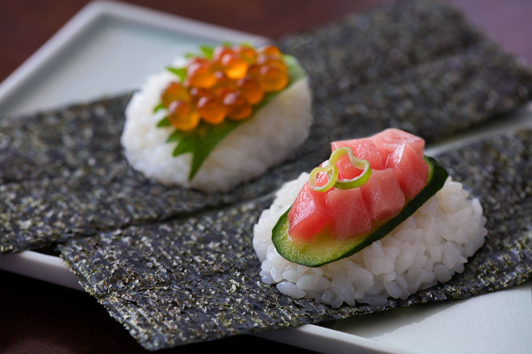 茶 Nori High-Quality Plain Grilled Nori Seaweed - Nori - Nishikidôri