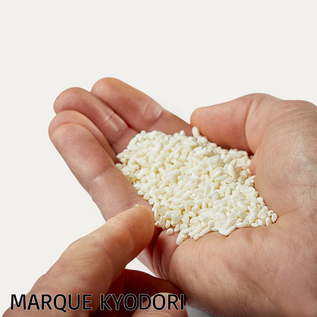 KYODORI brand malted rice "rice koji" - 700g