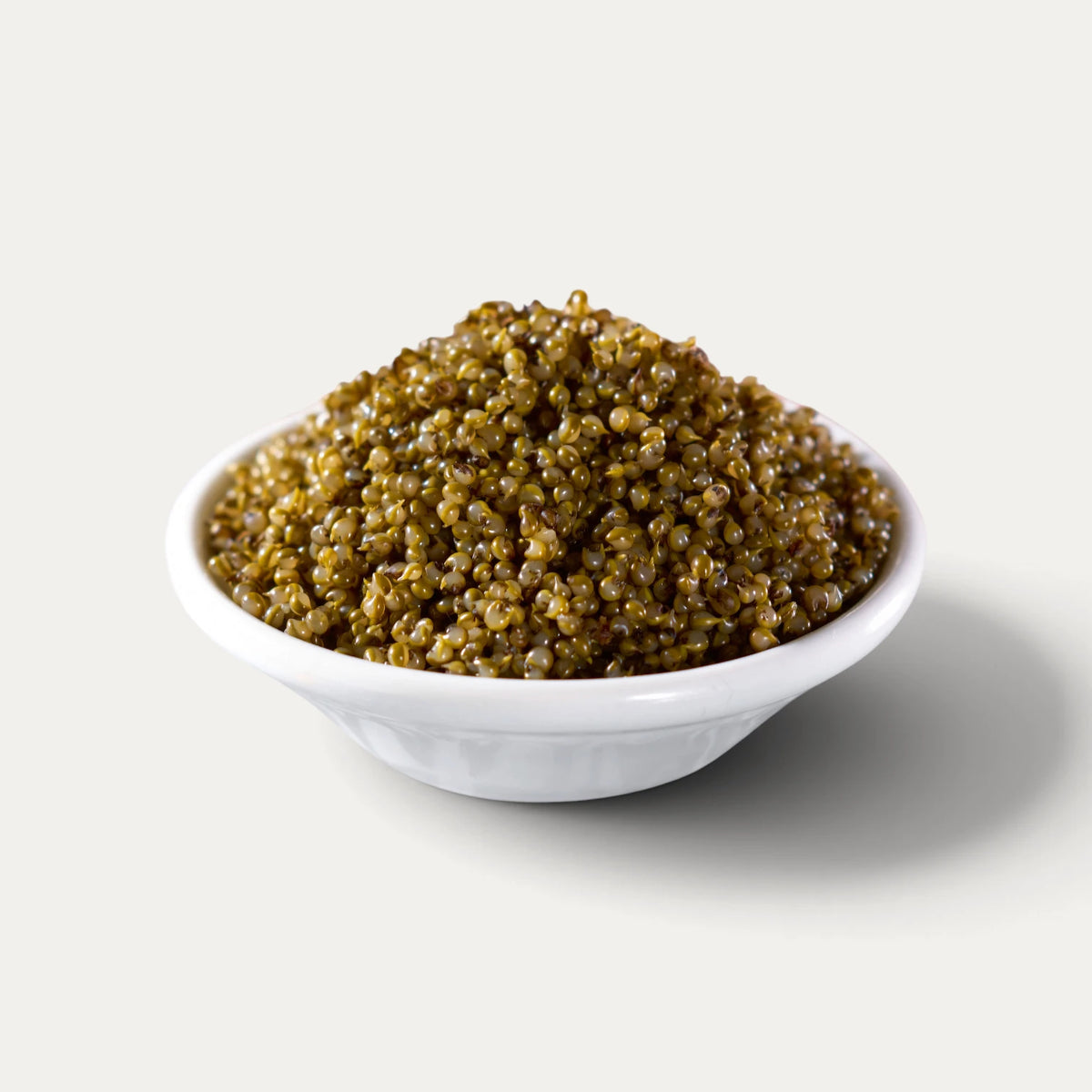 Kochia Scoparia Tonburi detto "caviale dei campi" - 170g o 300 g