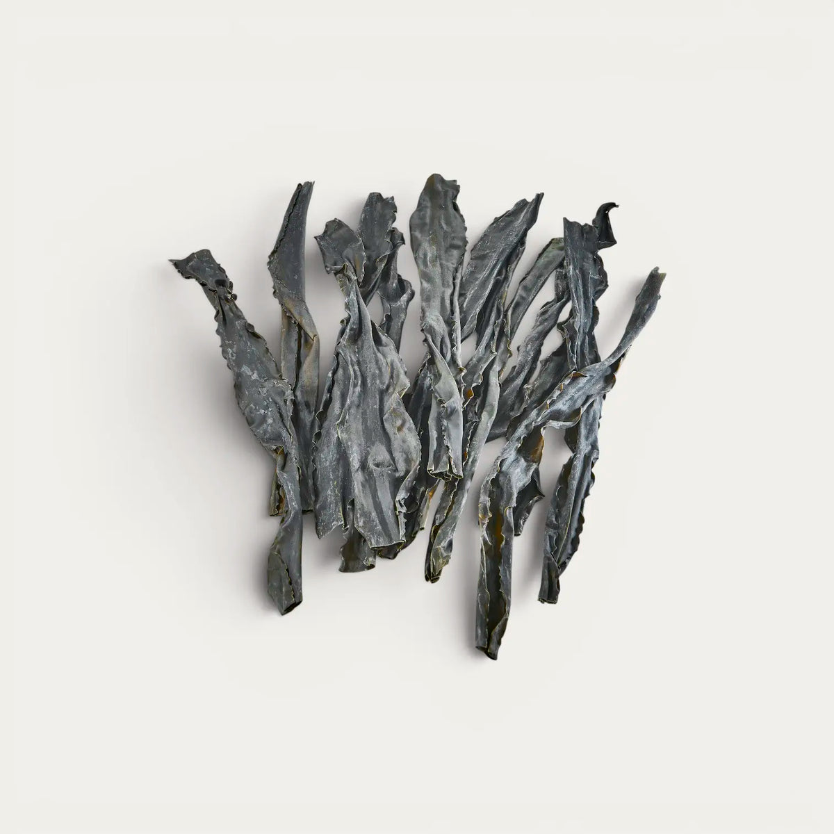 Hidaka-Kombu-Alge aus Hokkaido - 1kg