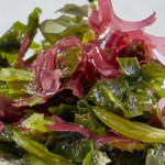 Seaweed salad