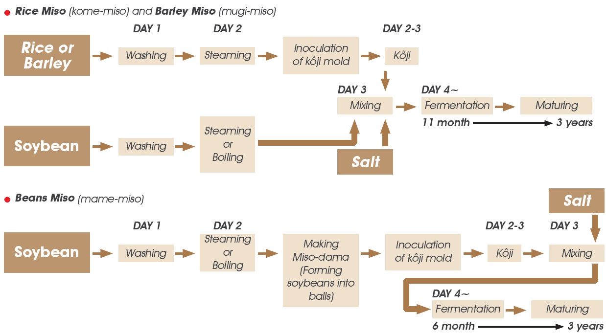 miso production process - japanese grocery store