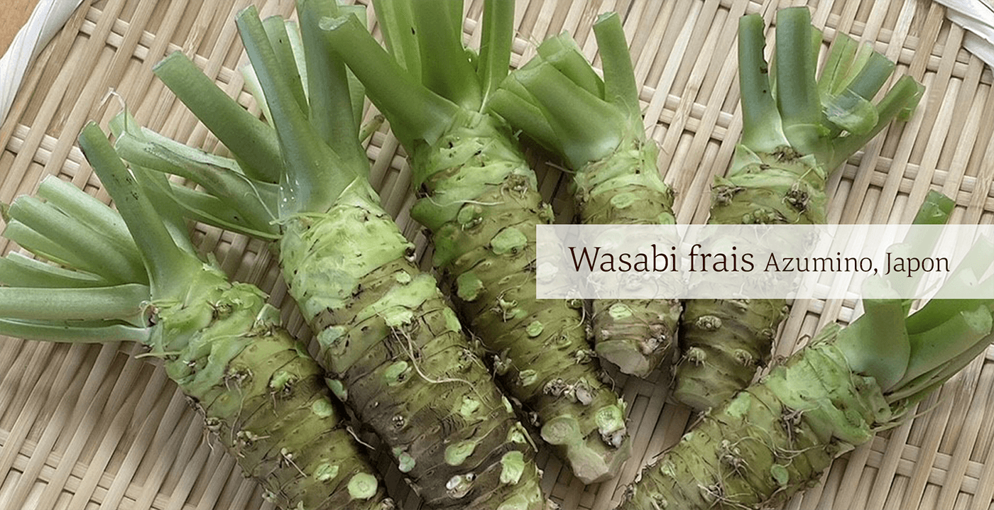 Wasabi frais